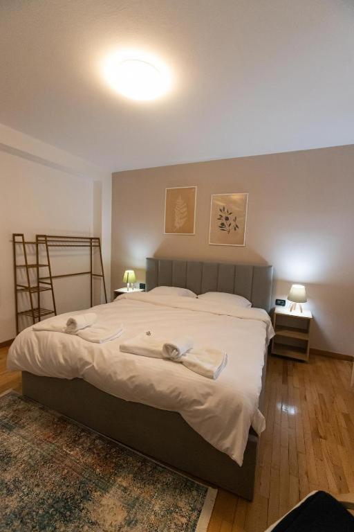 Light-2 Lovely Apartment In 티라나 외부 사진
